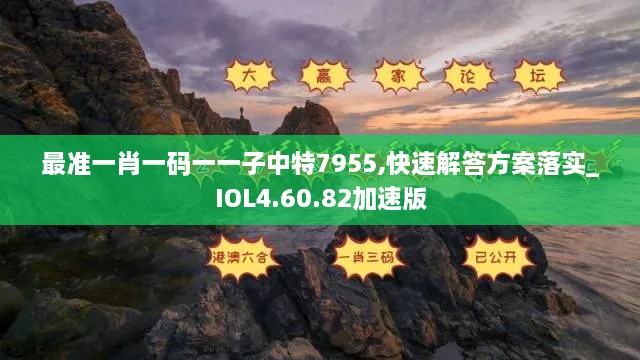 最准一肖一码一一子中特7955,快速解答方案落实_IOL4.60.82加速版