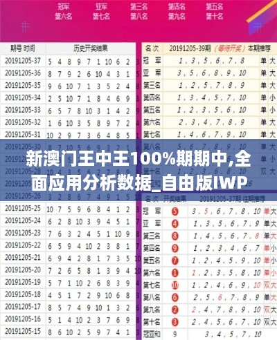 新澳门王中王100%期期中,全面应用分析数据_自由版IWP6.56