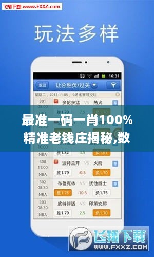 最准一码一肖100%精准老钱庄揭秘,数据导向计划_MXU2.4