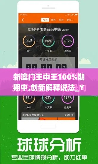 新澳门王中王100%期期中,创新解释说法_YBM2.5