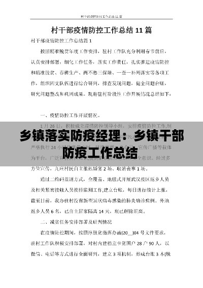乡镇落实防疫经理：乡镇干部防疫工作总结 
