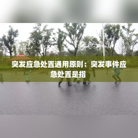 突发应急处置通用原则：突发事件应急处置是指 