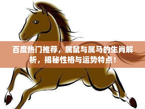 百度热门推荐，属鼠与属马的生肖解析，揭秘性格与运势特点！