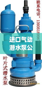 进口气动潜水泵公司TOP排名榜单揭晓！
