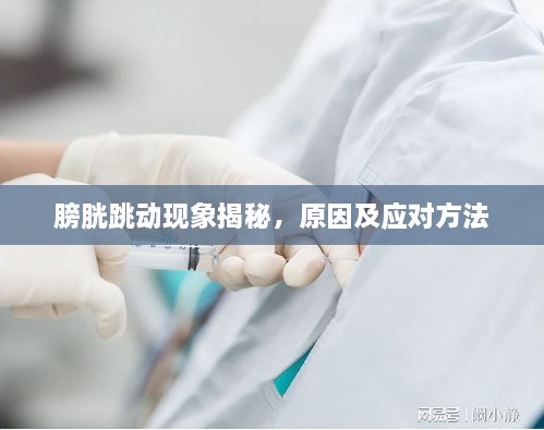 膀胱跳动现象揭秘，原因及应对方法