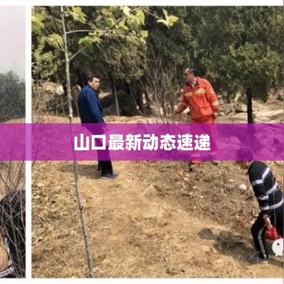 山口最新动态速递