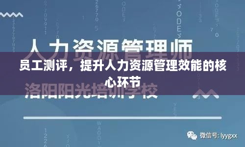 员工测评，提升人力资源管理效能的核心环节