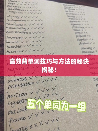 高效背单词技巧与方法的秘诀揭秘！
