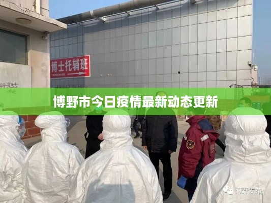 博野市今日疫情最新动态更新
