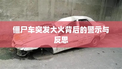 僵尸车突发大火背后的警示与反思