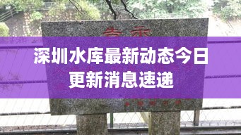 深圳水库最新动态今日更新消息速递