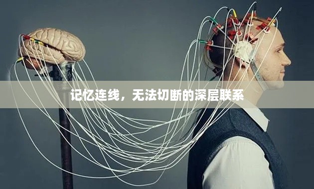 记忆连线，无法切断的深层联系