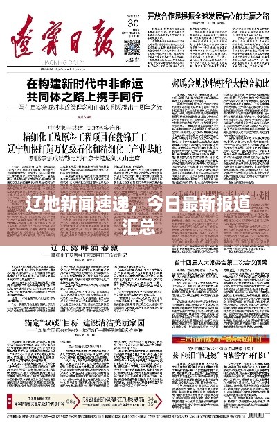 辽地新闻速递，今日最新报道汇总