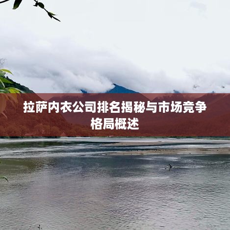 拉萨内衣公司排名揭秘与市场竞争格局概述