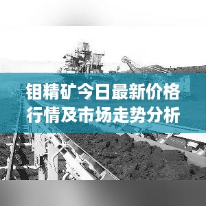 钼精矿今日最新价格行情及市场走势分析与展望