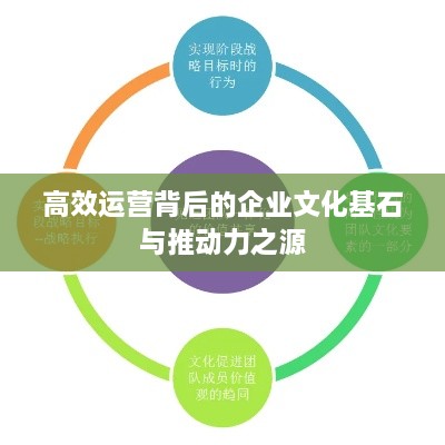 高效运营背后的企业文化基石与推动力之源
