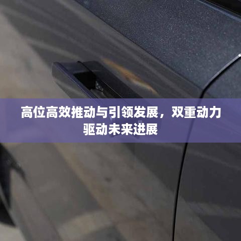 高位高效推动与引领发展，双重动力驱动未来进展