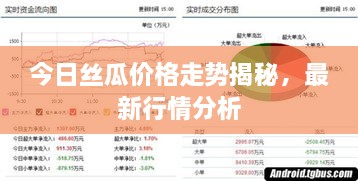 今日丝瓜价格走势揭秘，最新行情分析