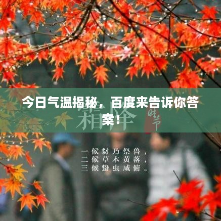 嗅APP 第3页