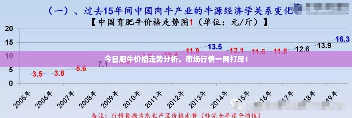今日肥牛价格走势分析，市场行情一网打尽！