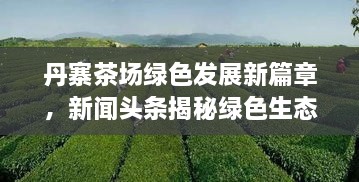 丹寨茶场绿色发展新篇章，新闻头条揭秘绿色生态之旅