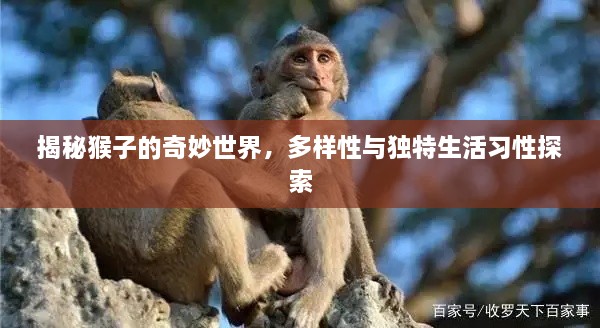 揭秘猴子的奇妙世界，多样性与独特生活习性探索