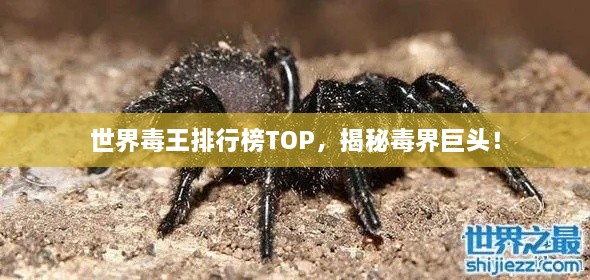 世界毒王排行榜TOP，揭秘毒界巨头！