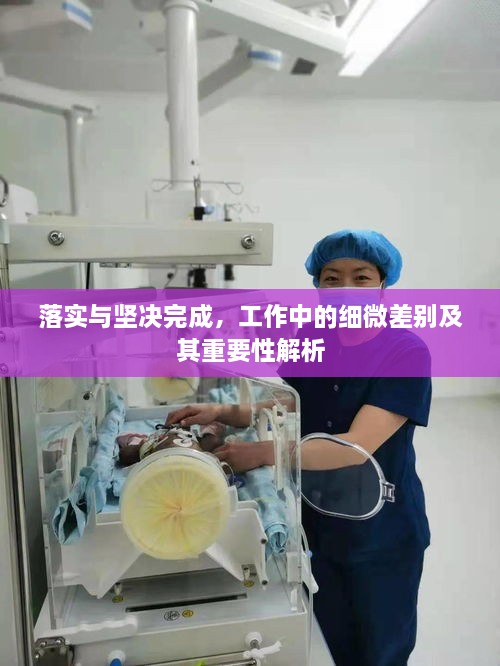 落实与坚决完成，工作中的细微差别及其重要性解析