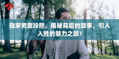 独家男宠玲熙，揭秘背后的故事，引人入胜的魅力之旅！