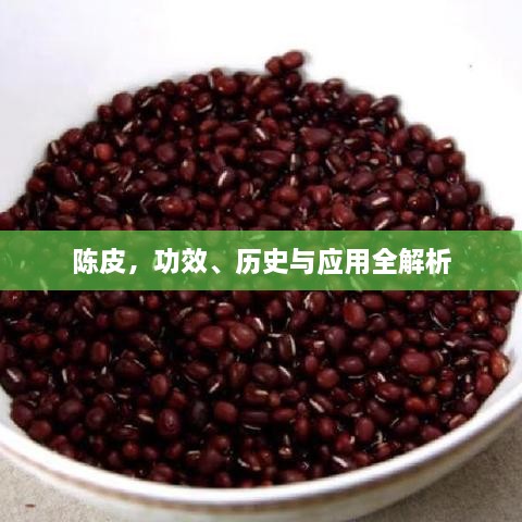 陈皮，功效、历史与应用全解析