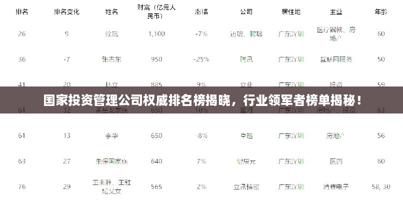 国家投资管理公司权威排名榜揭晓，行业领军者榜单揭秘！