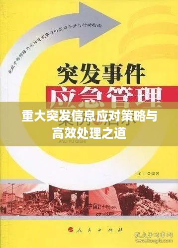 重大突发信息应对策略与高效处理之道