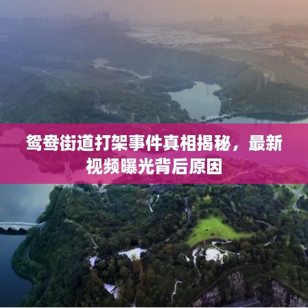 鸳鸯街道打架事件真相揭秘，最新视频曝光背后原因