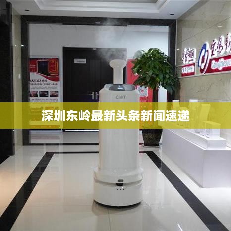 深圳东岭最新头条新闻速递