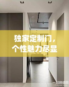 独家定制门，个性魅力尽显，独特风格任你打造