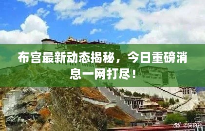 布宫最新动态揭秘，今日重磅消息一网打尽！