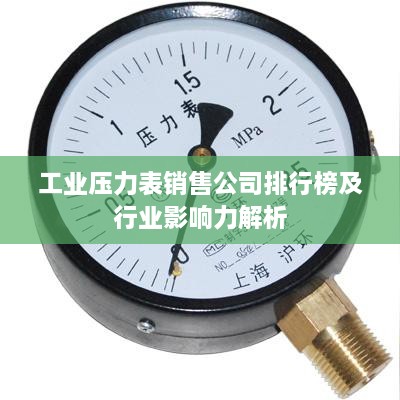 工业压力表销售公司排行榜及行业影响力解析