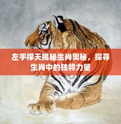 左手撑天揭秘生肖奥秘，探寻生肖中的独特力量