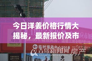 今日洋姜价格行情大揭秘，最新报价及市场动态一网打尽！