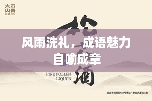 风雨洗礼，成语魅力自喻成章