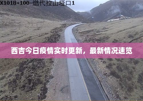 西吉今日疫情实时更新，最新情况速览