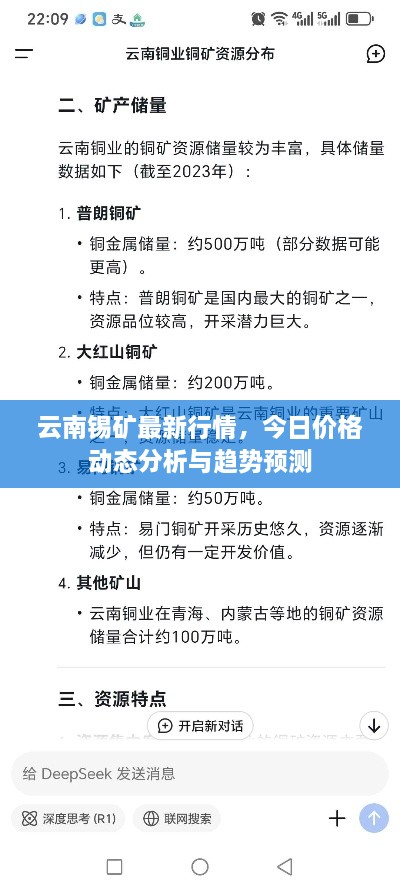 云南锡矿最新行情，今日价格动态分析与趋势预测