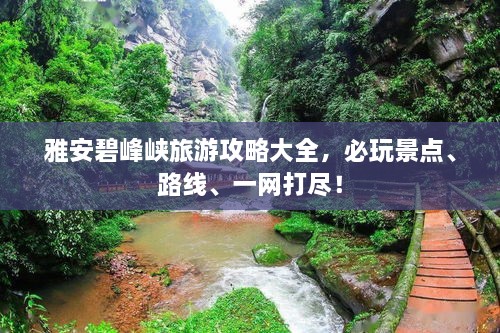 雅安碧峰峡旅游攻略大全，必玩景点、路线、一网打尽！
