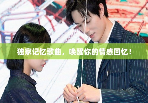 独家记忆歌曲，唤醒你的情感回忆！
