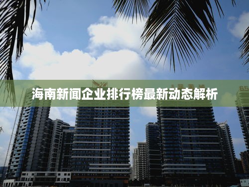 海南新闻企业排行榜最新动态解析