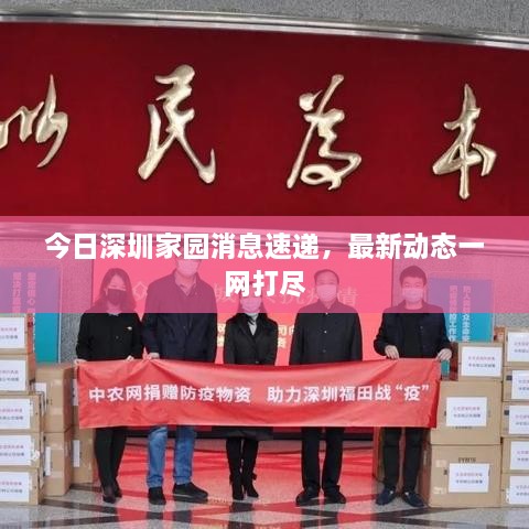今日深圳家园消息速递，最新动态一网打尽