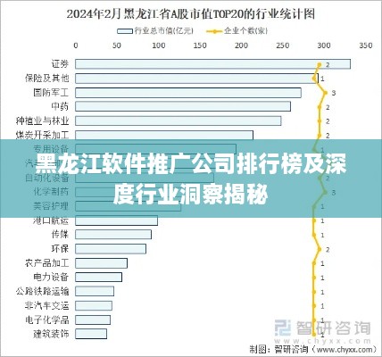 黑龙江软件推广公司排行榜及深度行业洞察揭秘