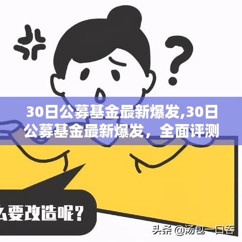 公募基金最新爆发，全面评测与介绍，洞悉市场动态！