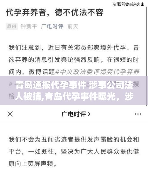 青岛代孕事件曝光，涉事公司法人被捕，事件始末及影响深度解析