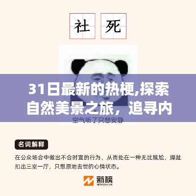 探索自然美景之旅，遇见最新热梗，追寻内心宁静的新境界